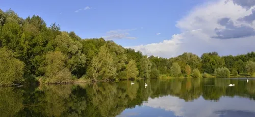 Baignade interdite au lac de la Monnerie à La Flèche