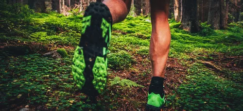 Alençon : le trail des Grands Ducs n'aura pas lieu