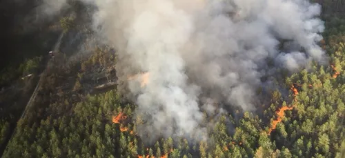 Près de Salbris, 50 hectares de forêt en feu