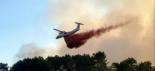 Loir-et-Cher : 50 hectares de forêt détruits par un incendie
