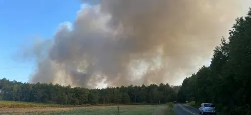 Saint-Mars-d'Outillé : 18 hectares de résineux brûlés