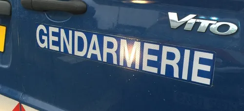 Sarthe : une jument tuée à l’acide ?