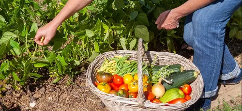 La crise sanitaire a-t-elle réellement modifié nos habitudes...
