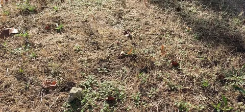 Sarthe : trois bassins hydrographiques en crise