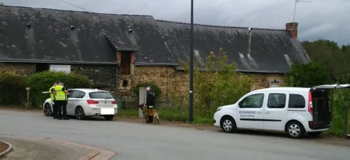 Vaste opération de contrôles anti-stupéfiants à Renazé