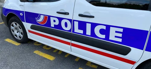 Allonnes : dans la bousculade, il tire sur son fils