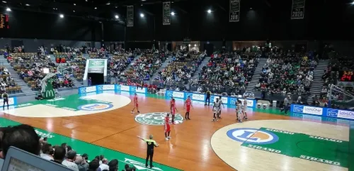 Basket : l’ADA Blois à la conquête de la Jeep Elite