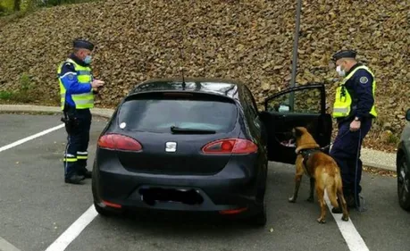 Nouveau déploiement anti-stupéfiants en Mayenne
