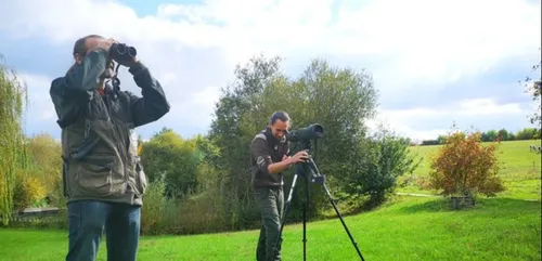 165 espèces d’oiseaux observées dans le Perche