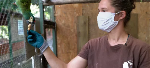 L’appel à l’aide du Refuge de l’Arche