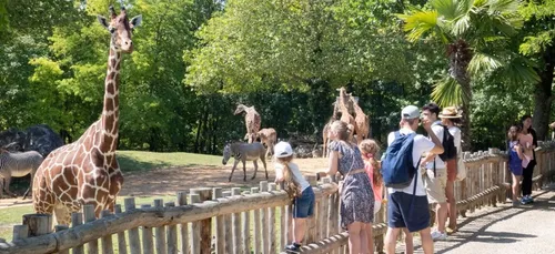 ZooParc de Beauval : 400 postes à pourvoir dès la fin janvier