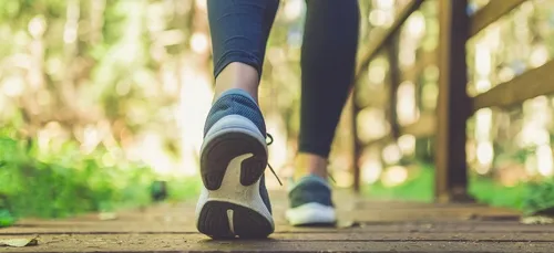 Limite des sorties à 20 km : découvrez où vous pourrez vous...