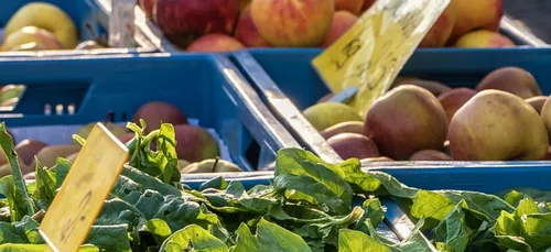 Sablé-sur-Sarthe : retour du marché du vendredi devant la mairie