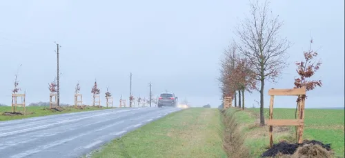 En Sarthe, le Conseil départemental finance 10 000 plantations...
