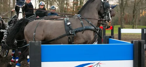 Paris 2024 : le coup de gueule de Pascal Bioulac