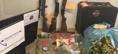 Coup de filet anti-stups dans le bocage ornais