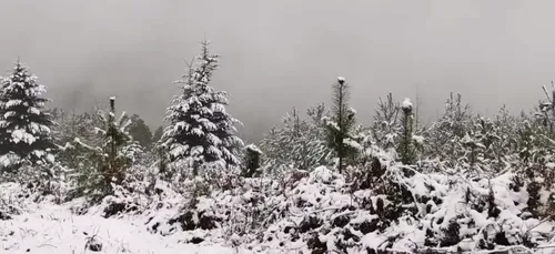 La neige s'invite en Normandie