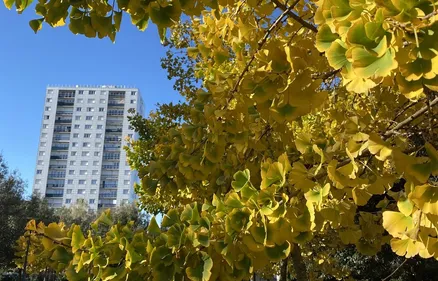 Recensement : la Loire-Atlantique attire, c’est moins le cas de la...