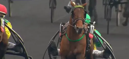 Orne : un deuxième prix d'Amérique pour Face Time Bourbon