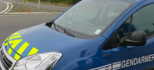 Candé-sur-Beuvron : interpellé avec 245 grammes de cannabis