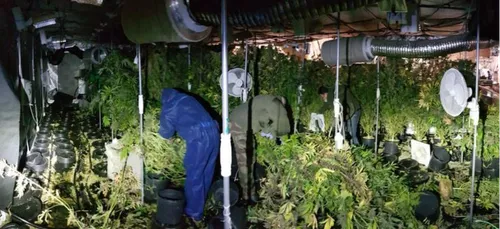 Manou : coup de filet anti-stups