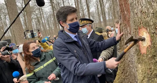 La reconstruction de Notre-Dame de Paris passe par la Sarthe