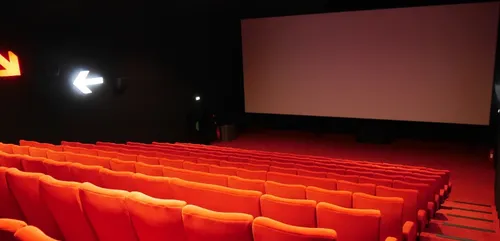 Pas de projection de films mais un concours d'affiches au Mans