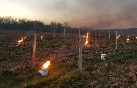 En vallée du Loir, des bougies pour protéger les vignes du gel