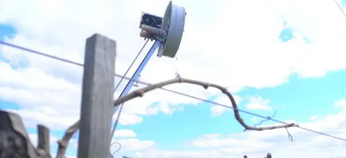 Les espoirs de belles récoltes... gelés en Loir-et-Cher