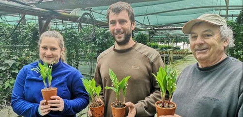 Un peu de Sologne dans votre muguet