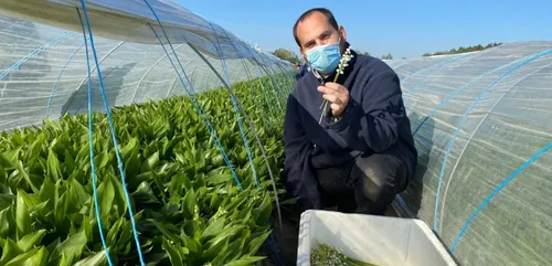 2021, une année "extra" pour le muguet sarthois