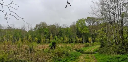 Mai sera le mois de la biodiversité en Loir-et-Cher