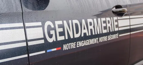 Ivre, le chauffeur routier zigzaguait sur l'A11