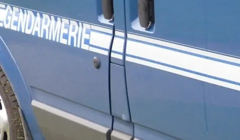 Dans l'Orne, deux individus interpellés après une vingtaine de...