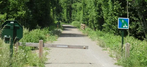 En Mayenne, des punaises déversées sur la voie verte