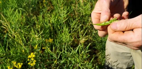 Passe d'armes entre agriculteurs en Centre-Val-de-Loire sur la PAC