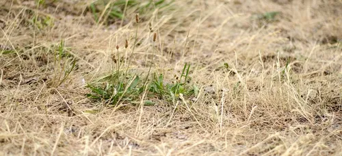 Orne : cinq communes reconnues en état de catastrophe naturelle