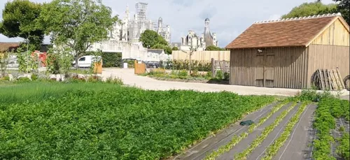 [PODCAST] Faire son marché locavore... à Chambord !