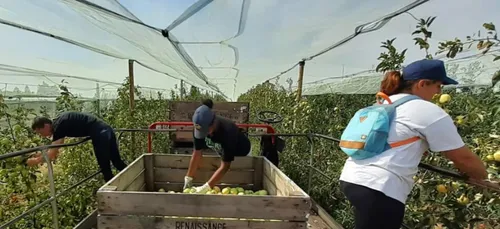 Oizé : la Maison Leroy recrute pour ses récoltes