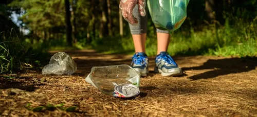 Plogging en forêt d'Ecouves ce dimanche 12 septembre