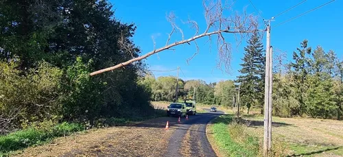 Loir-et-Cher : 80 interventions liées à la tempête "Aurore"