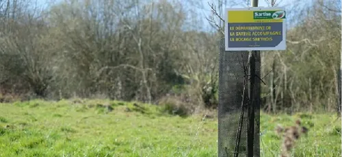 En Sarthe, 70 000 euros de plus pour la replantation de haies