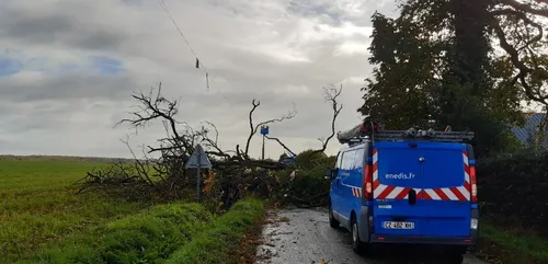 Tempête "Aurore" : toujours pas d'électricité pour une cinquantaine...