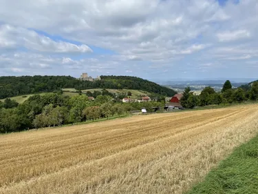 Une balade un pied en Alsace et un pied en Suisse