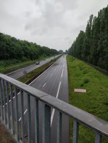 La ZFE a été adoptée sur l'agglo de Strasbourg : jusqu'à 3500 euros...