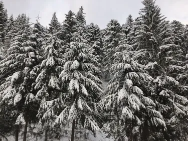 Le Lac Blanc annonce l'ouverture de ses remontées mécaniques 