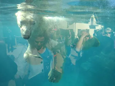 Le Zoo de Mulhouse rouvre ce mercredi 3 juin