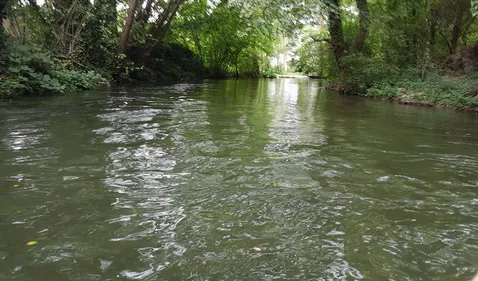 Balade bucolique sur le Giessen