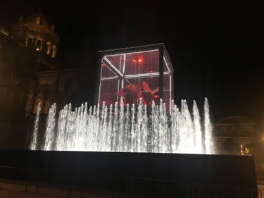 Quelle star ce mammouth  ! 