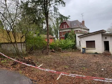 Mulhouse : la nature est-elle menacée au Rebberg ?